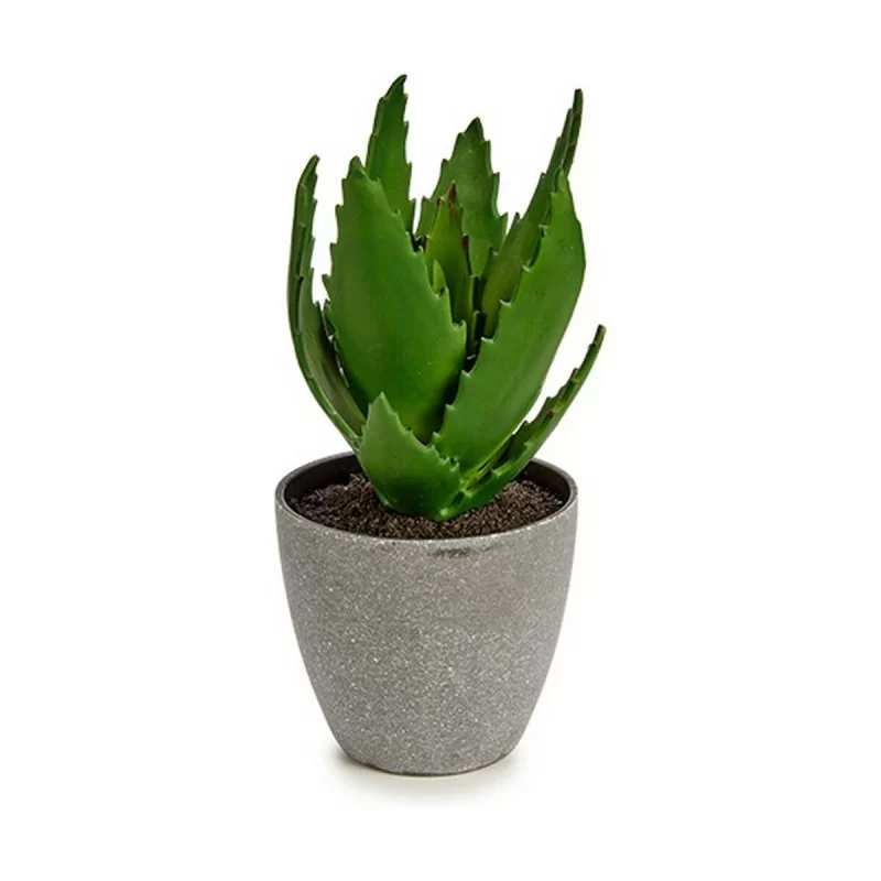 Decorative Plant Aloe Vera 14 x 21 x 14 cm Grey...