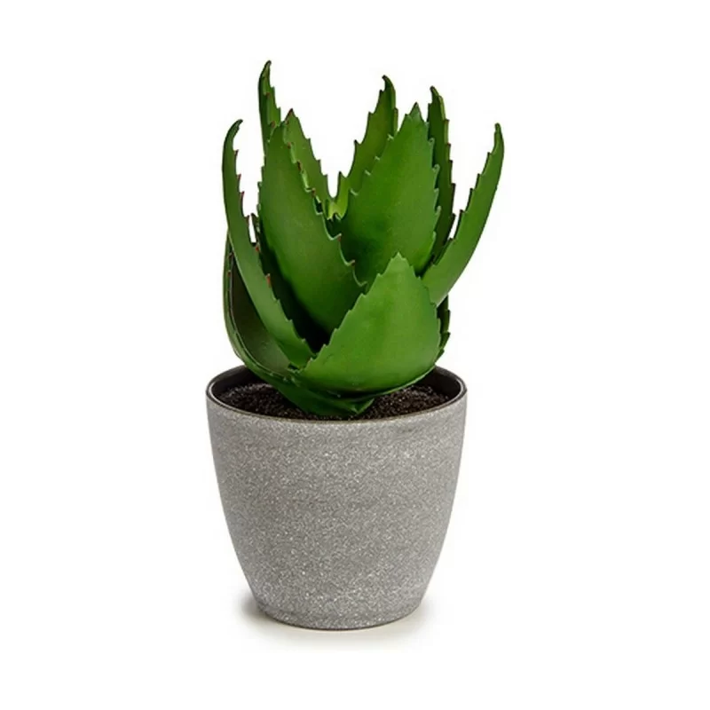 Decorative Plant Aloe Vera 15 x 23,5 x 15 cm...