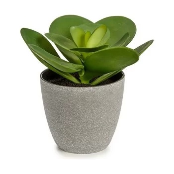 Decorative Plant 18 x 18,5 x 18 cm Grey Green Plastic (6... 2