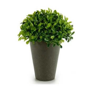 Decorative Plant Plastic 13 x 16 x 13 cm Green Grey (12... 2