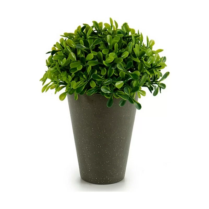 Decorative Plant Plastic 13 x 16 x 13 cm Green...