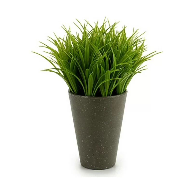 Decorative Plant Plastic 11 x 18 x 11 cm Green...