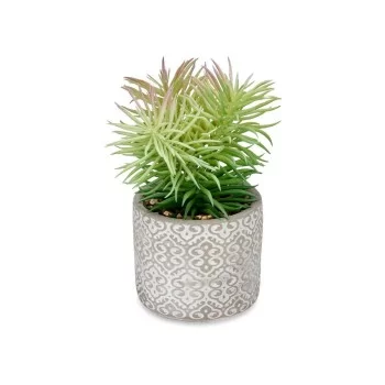 Decorative Plant Succulent Wood Plastic 12 x 22 x 12 cm... 2