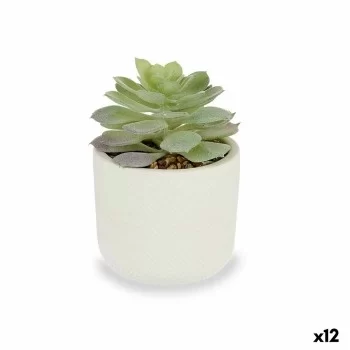 Decorative Plant Succulent Plastic 14 x 13,5 x 14 cm (12...