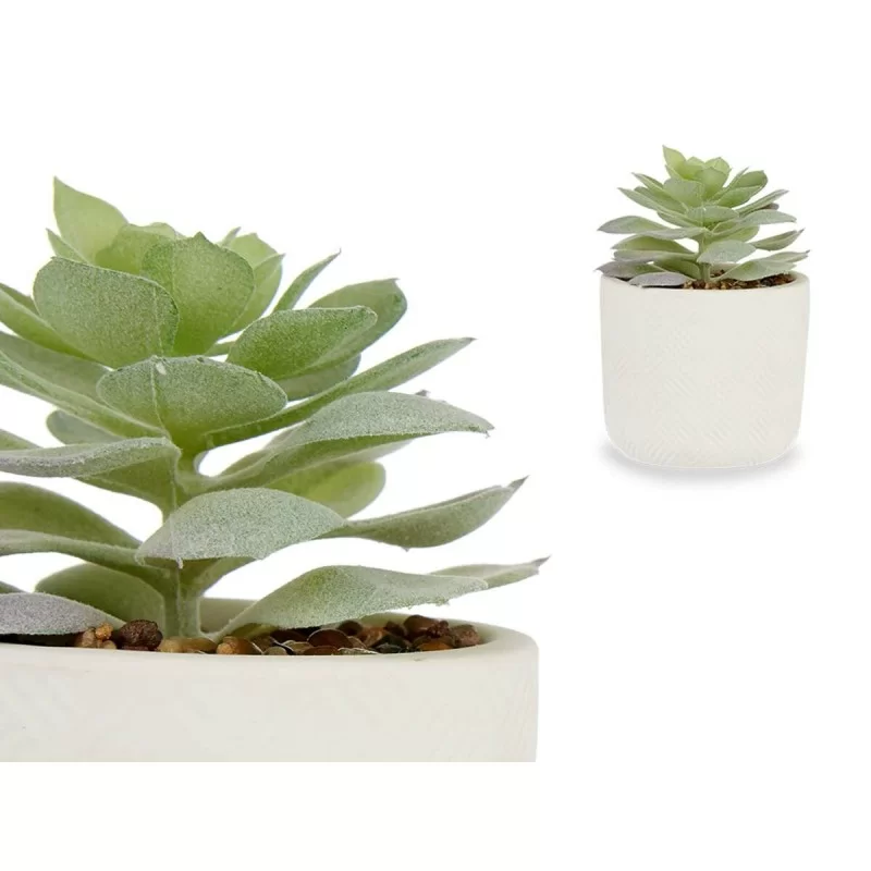 Decorative Plant Succulent Plastic 14 x 13,5 x...