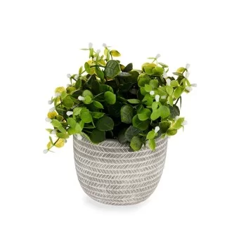Decorative Plant Flowers Plastic 20 x 20,5 x 20 cm (8 Units) 2