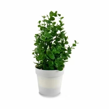 Decorative Plant Plastic 19 x 26 x 19 cm (12 Units) 2