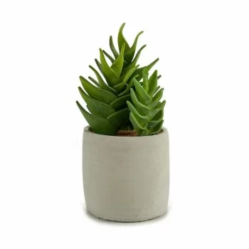 Decorative Plant Succulent Plastic 12 x 24 x 12 cm (6 Units) 2