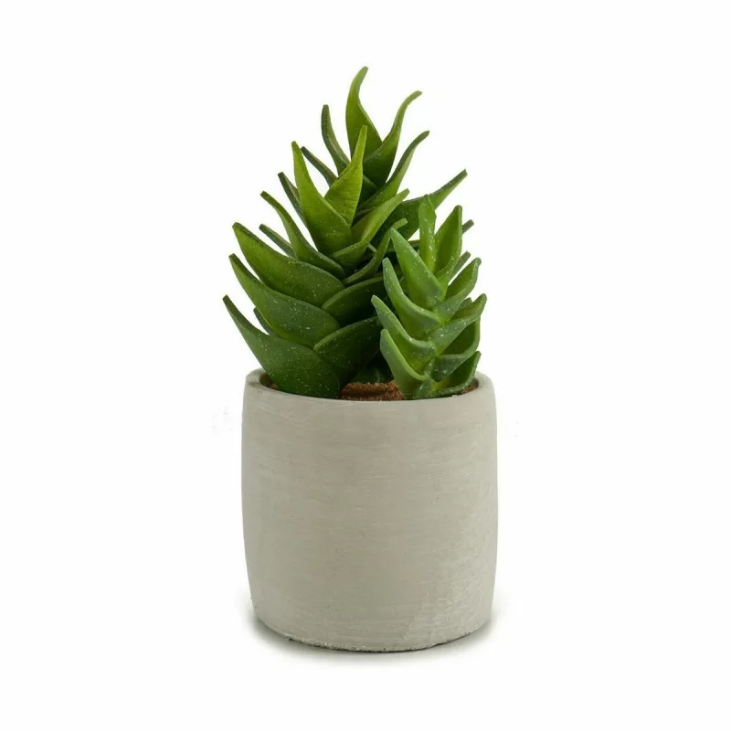 Decorative Plant Succulent Plastic 12 x 24 x 12...
