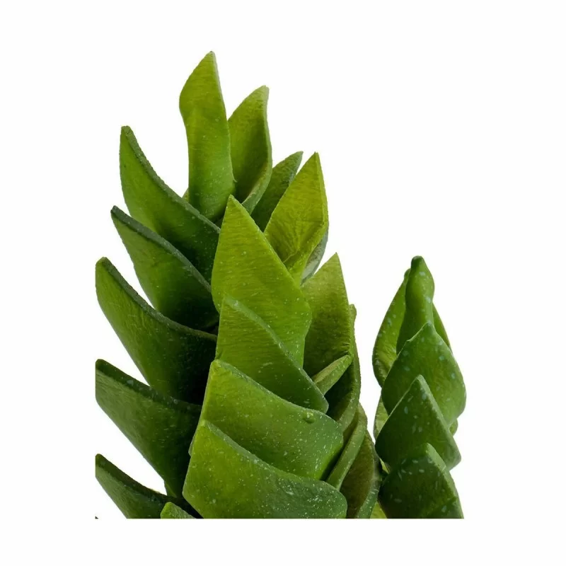 Decorative Plant Succulent Plastic 12 x 24 x 12...