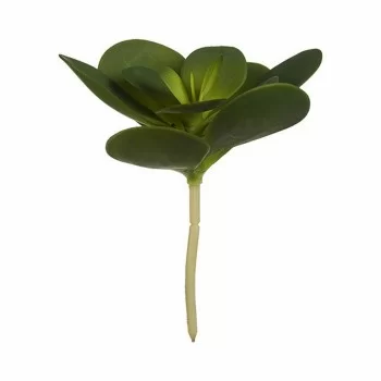 Decorative Plant Sheets Circular Plastic 18 x 23 x 18 cm... 2