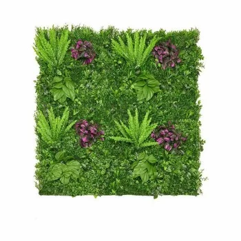 Vertical Garden Kit Fern Multicolour Plastic 100 x 7 x... 2