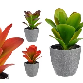 Decorative Plant Red Grey Green Plastic 11 x 20 x 11 cm