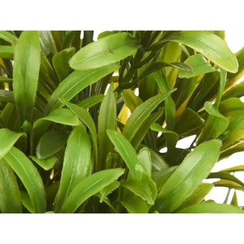 Decorative Plant Plastic 18 x 35 x 16 cm (6 Units) 2
