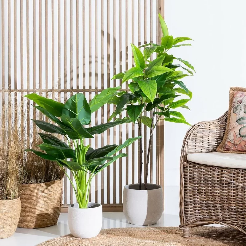 Decorative Plant Green 95 cm Arum lily