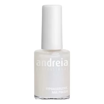 nail polish Andreia Professional Hypoallergenic Nº 90 (14...