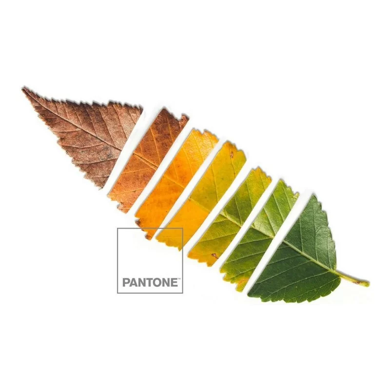 Bedspread (quilt) Leaf Pantone