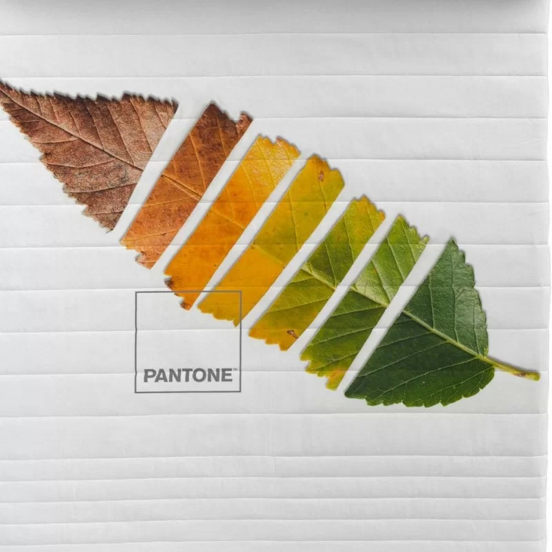 Bedspread (quilt) Leaf Pantone