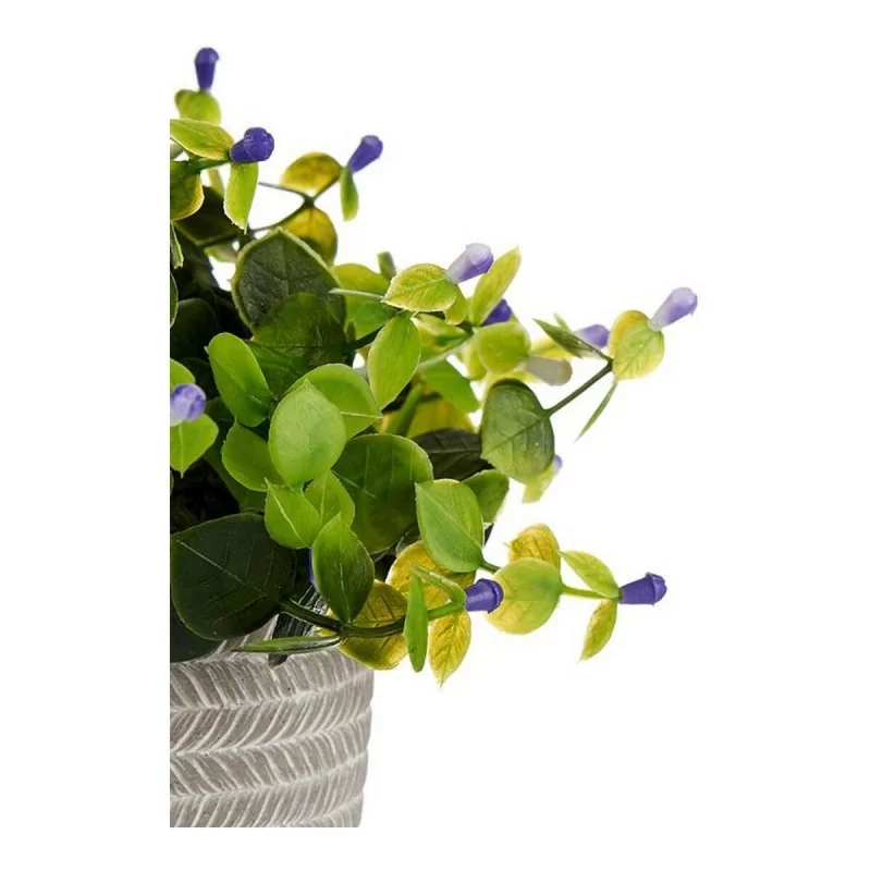 Decorative Plant Lilac Flowers Grey Purple...