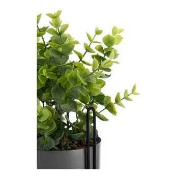 Decorative Plant Grey Eucalyptus With support Metal... 2
