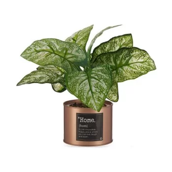 Decorative Plant Home Copper Can 26 x 26 x 26 cm Metal...