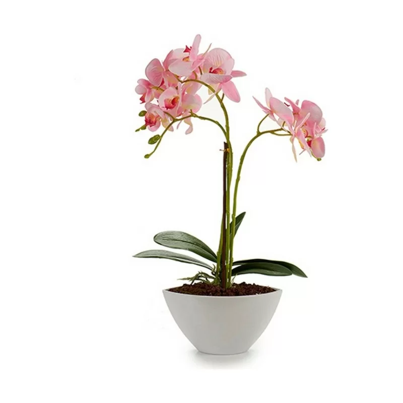 Decorative Plant Orchid 16 x 49 x 28 cm Plastic...