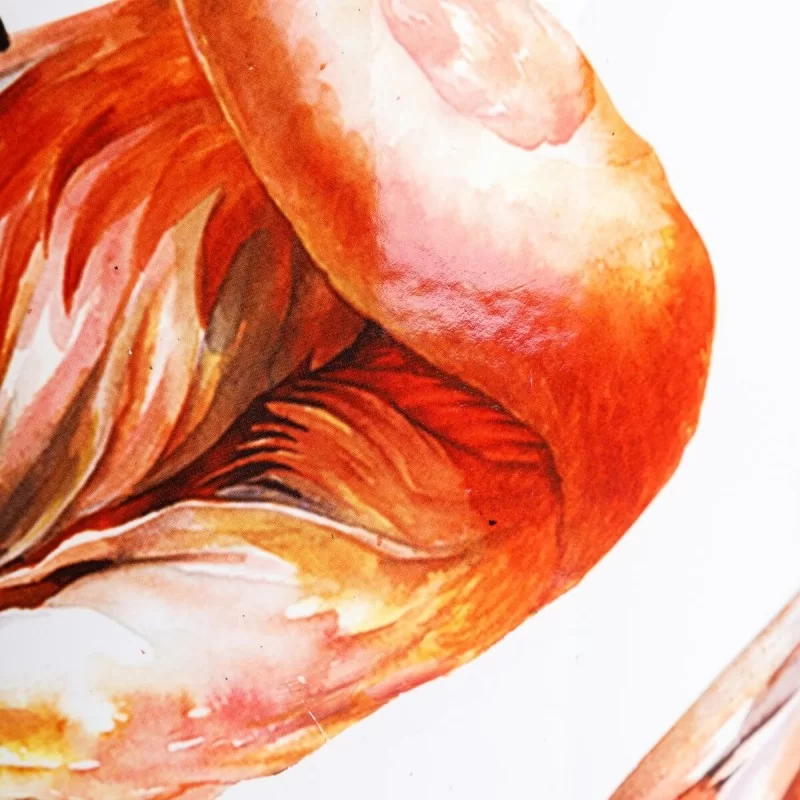 Vase Ceramic Coral White Flamingo 36 x 36 x 48 cm