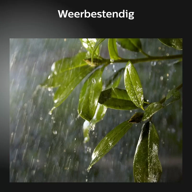 LEDlamp Philips Black Aluminium 8 W (6500 K)...