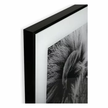 Painting Versa Lion Crystal 2 x 50 x 50 cm 2