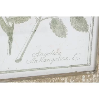 Painting DKD Home Decor Cottage Botanical plants 30 x 2 x... 2