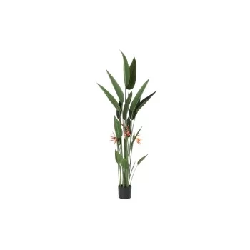 Decorative Plant DKD Home Decor 75 x 75 x 180 cm Orange...