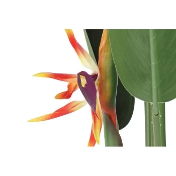 Decorative Plant DKD Home Decor 75 x 75 x 180 cm Orange... 2