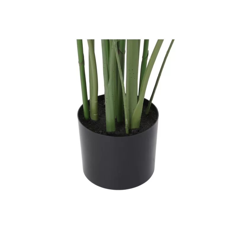 Decorative Plant DKD Home Decor 75 x 75 x 180...