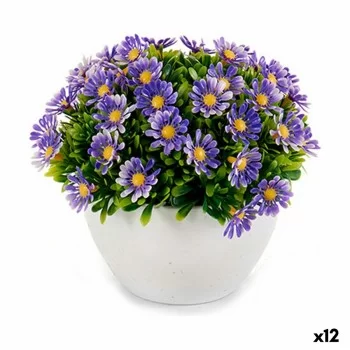 Decorative Plant Marguerite Plastic 14 x 13 x 14 cm (12...