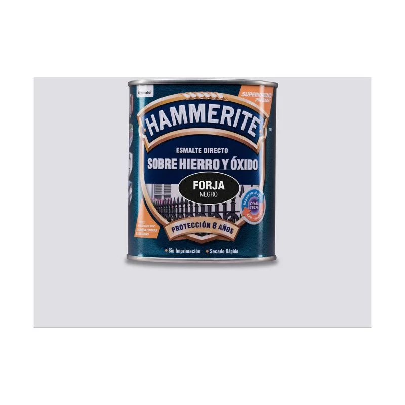 Varnish AkzoNobel 5093196 750 ml Finishing...