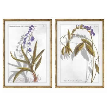 Painting DKD Home Decor 50 x 2 x 70 cm Modern Botanical...