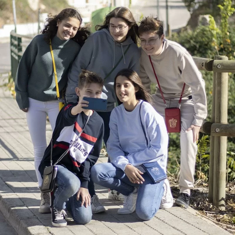 Bag Harry Potter Ravenclaw 10,5 x 17,5 x 2,5 cm...
