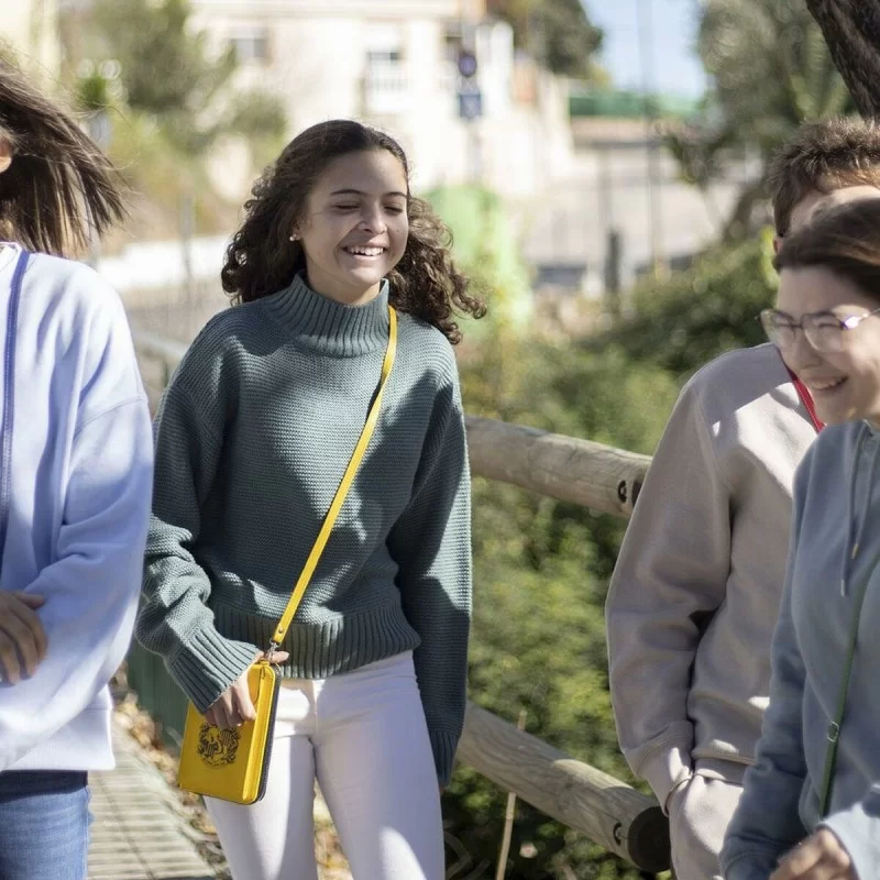 Bag Harry Potter Hufflepuff 10,5 x 17,5 x 2,5...