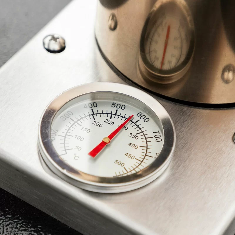 Pellet Pizza Oven with Accessories Pizzahven...