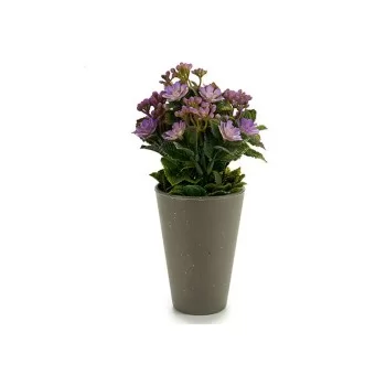 Plant pot 8430852552877 Purple Orange White Yellow...