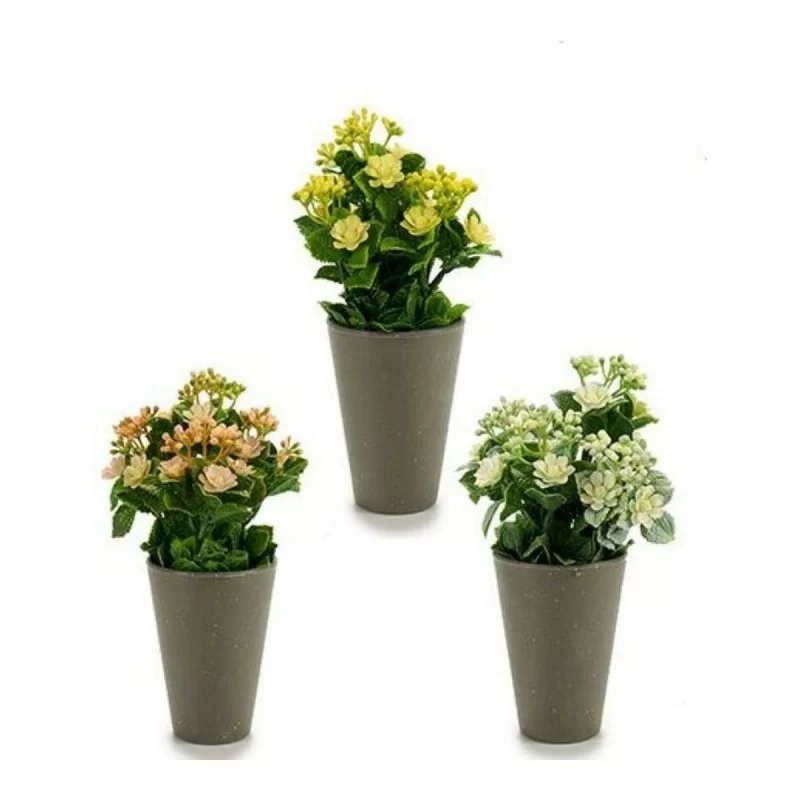 Plant pot 8430852552877 Purple Orange White...