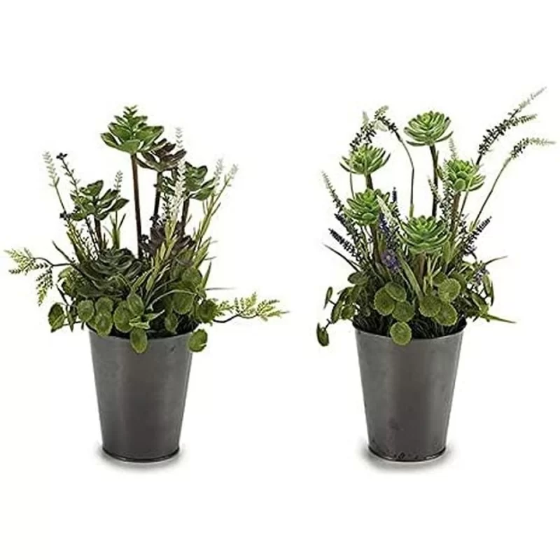Decorative Plant 8430852222145 Grey Green...