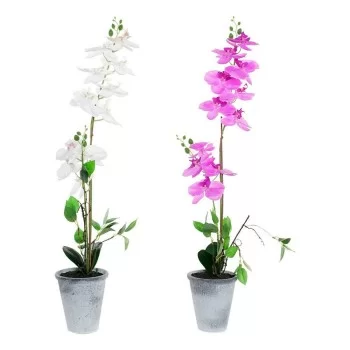 Decorative Plant DKD Home Decor 8424001819430 21 x 21 x...