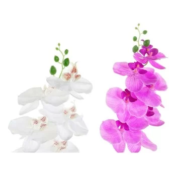 Decorative Plant DKD Home Decor 8424001819430 21 x 21 x... 2