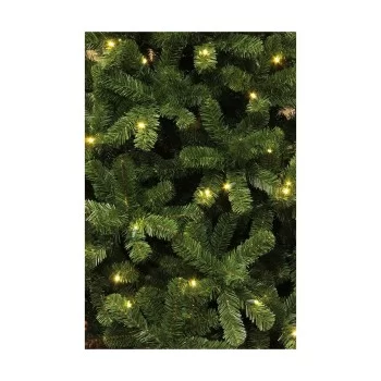 Christmas Tree Black Box (185 x 115 cm) 2