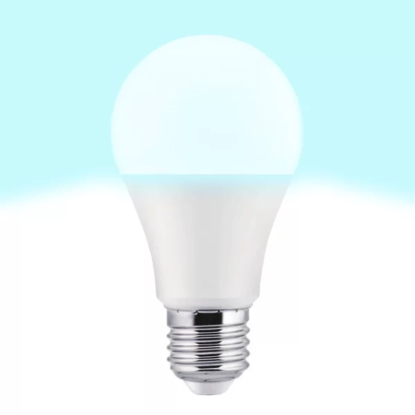 LED lamp TM Electron E27 (5000 K)