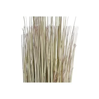 Decorative Plant DKD Home Decor 25 x 25 x 68 cm Brown... 2