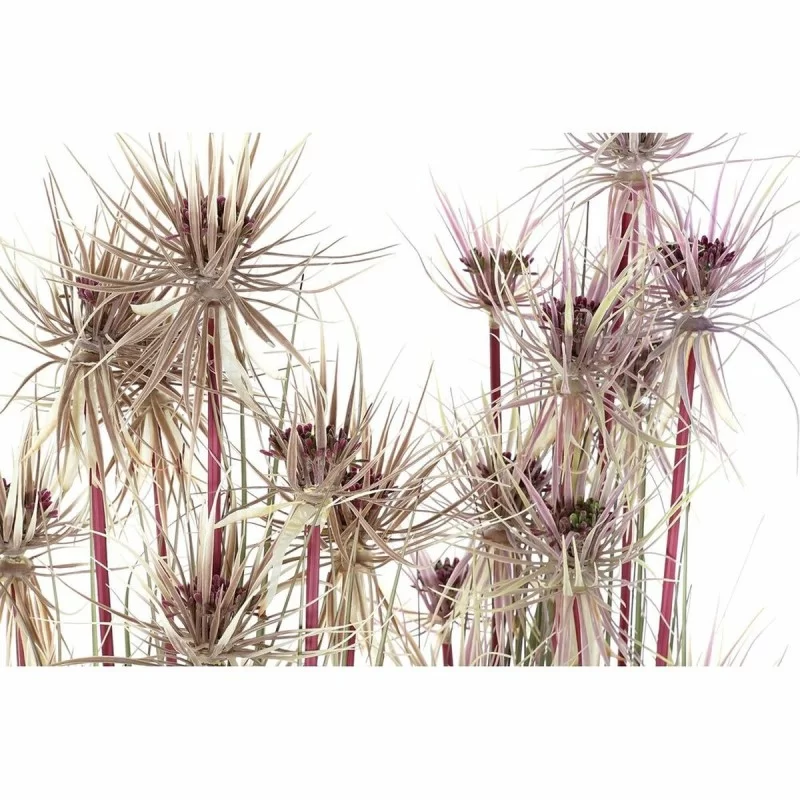 Decorative Plant DKD Home Decor Brown...