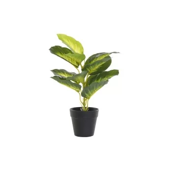 Decorative Plant DKD Home Decor PVC polypropylene 25 x 25...