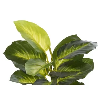 Decorative Plant DKD Home Decor PVC polypropylene 25 x 25... 2